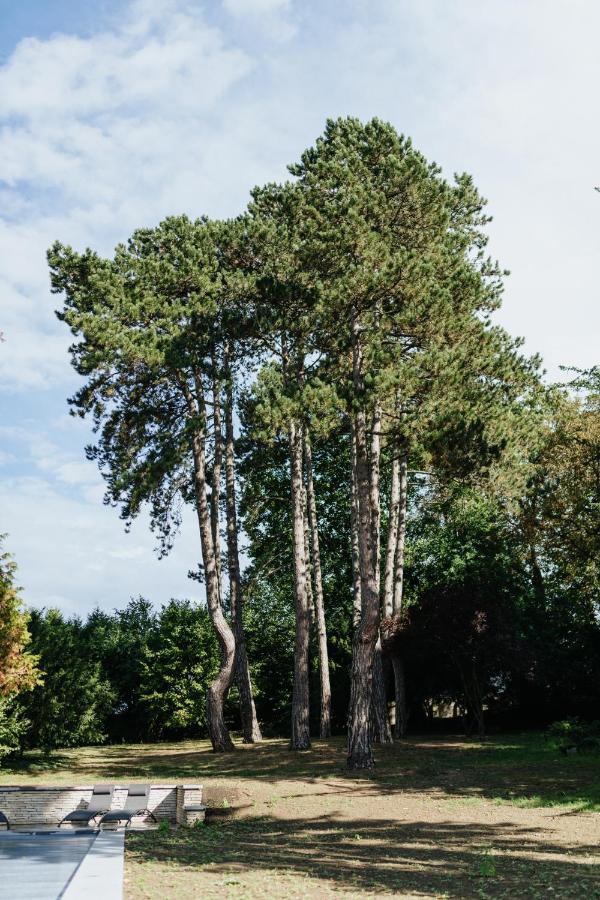Manoir Francois Du Tilleul - Reims - Fismes エクステリア 写真